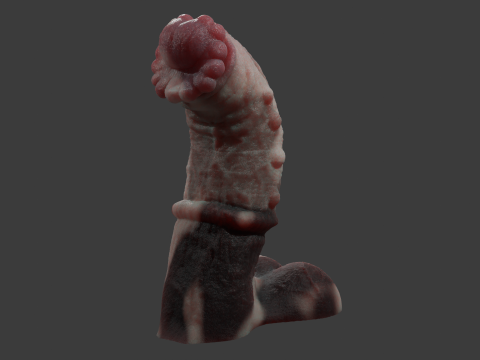 Fantasy Minotaur Penis Sextoy Rigged 3D Model