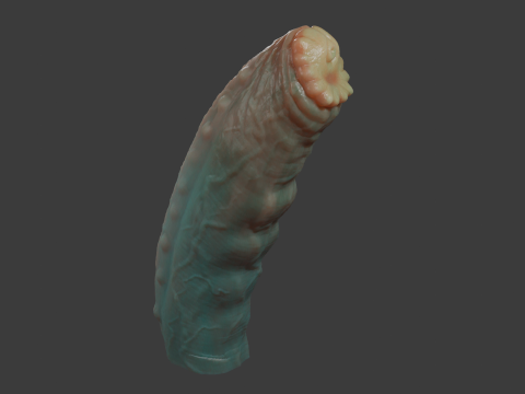 Grut Monster Penis Sextoy Rigged Model 3D