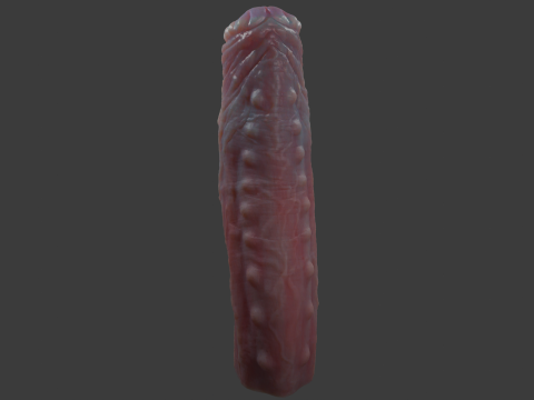 Grut Monster Penis Sextoy Rigged Model 3D