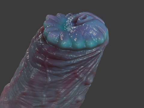 Grut Monster Penis Sextoy Rigged Model 3D