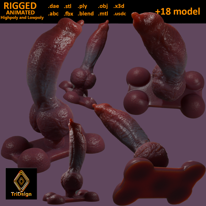 Knotplug Plug Penis Sextoy Rigged 3D मॉडल .c4d .max .obj .3ds .fbx .stl .blend