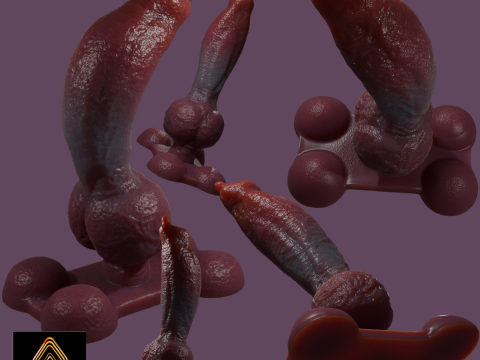 Knotplug Plug Penis Sextoy Rigged Modelo 3D