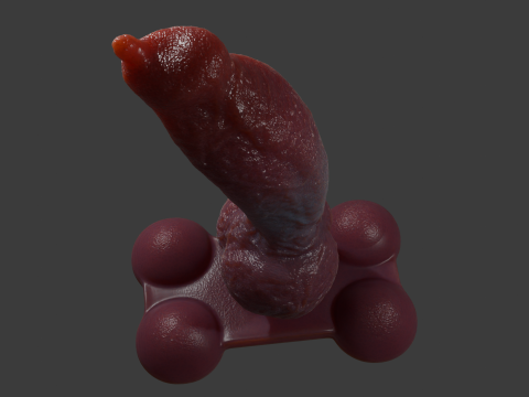 Knotplug Plug Penis Sextoy Rigged 3D Модель