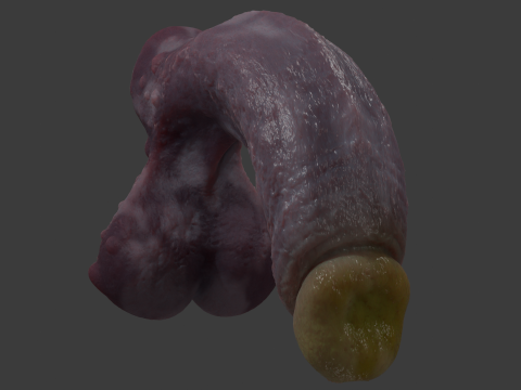 Grogash Demon Penis with Balls 3D 模型