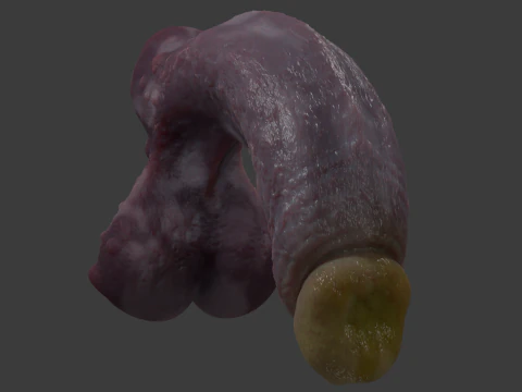 Grogash Demon Penis with Balls 3D Model