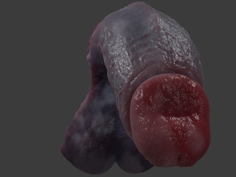 Grogash Demon Penis with Balls 3D 模型