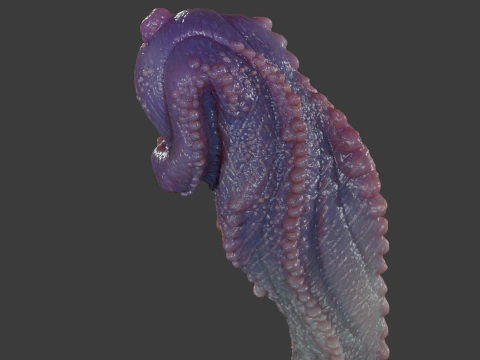 Fantasy Alatruz Dragon Penis Sextoy Rigged 3D Model