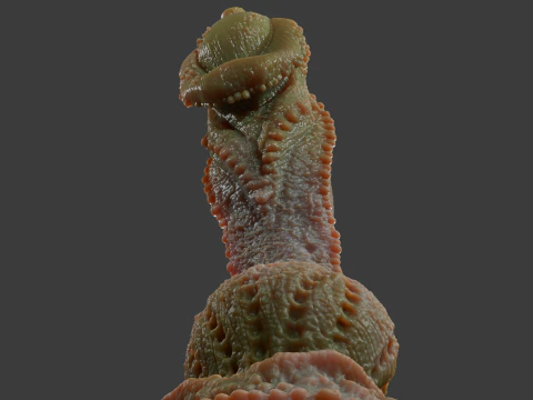 Fantasy Alatruz Dragon Penis Sextoy Rigged 3D Model