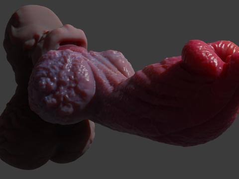 Jack Furry Werewolf Penis Sextoy Rigged 3D Model