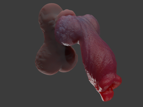 Jack Furry Werewolf Penis Sextoy Rigged 3D Model