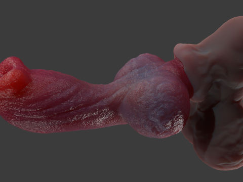 Jack Furry Werewolf Penis Sextoy Rigged 3D Model