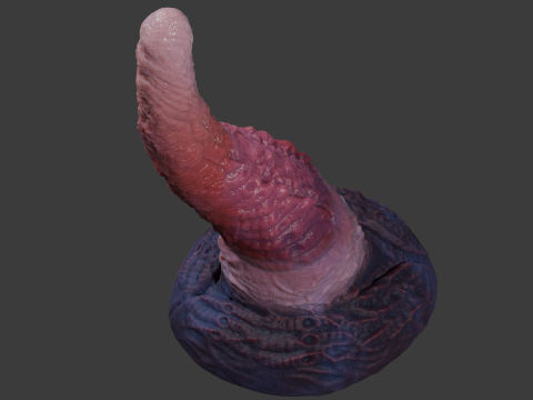 Alien Tentacle Sextoy Rigged Lowpoly and Highpoly 3D Model