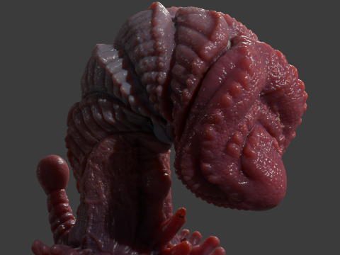 Zorriox Dragon Penis Sextoy Rigged 3D 模型