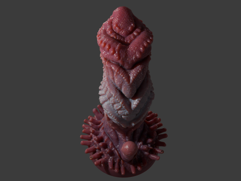 Zorriox Dragon Penis Sextoy Rigged 3D 模型