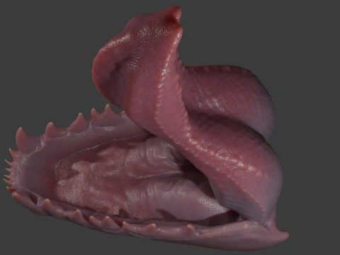 Dragon Tongue Sextoy Rigged Highpoly 3D Model