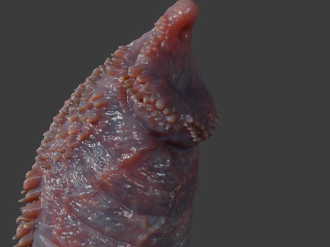 Fantasy Draco Felyne Penis Sextoy Rigged 3D Model