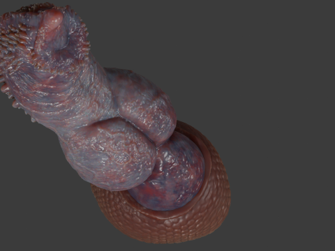 Fantasy Draco Felyne Penis Sextoy Rigged 3D Модель