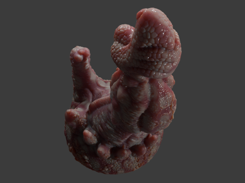 幻想 Rosagante 龙 阴茎 性玩具 3D 模型