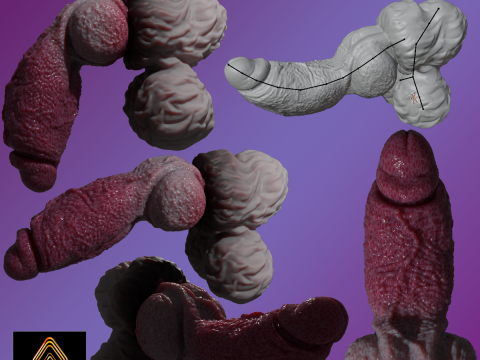 Lucan Werewolf Penis Sextoy Rigged Modèle 3D