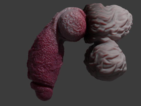 Lucan Werewolf Penis Sextoy Rigged Modèle 3D