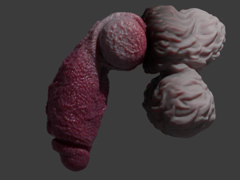 Lucan Werewolf Penis Sextoy Rigged 3D Model