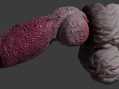Lucan Werewolf Penis Sextoy Rigged Modèle 3D