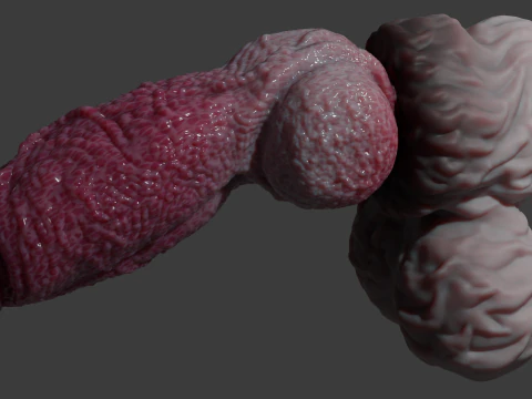 Lucan Werewolf Penis Sextoy Rigged 3D Model