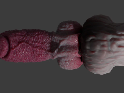 Lucan Werewolf Penis Sextoy Rigged 3D Model