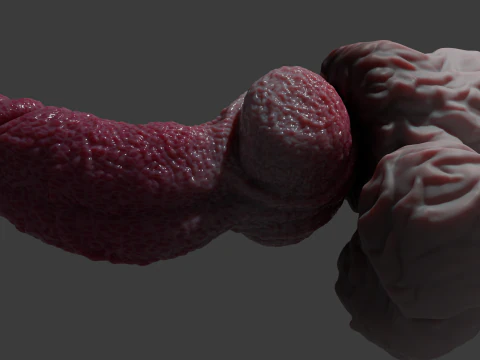 Lucan Werewolf Penis Sextoy Rigged 3D Model