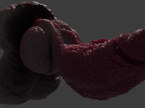 Lucan Werewolf Penis Sextoy Rigged Modèle 3D