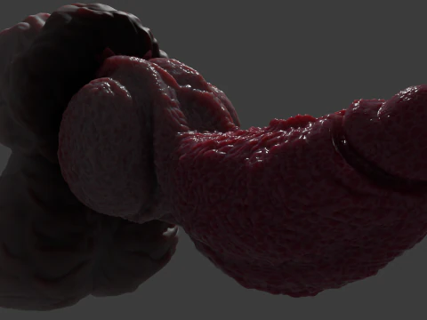 Lucan Werewolf Penis Sextoy Rigged 3D Model
