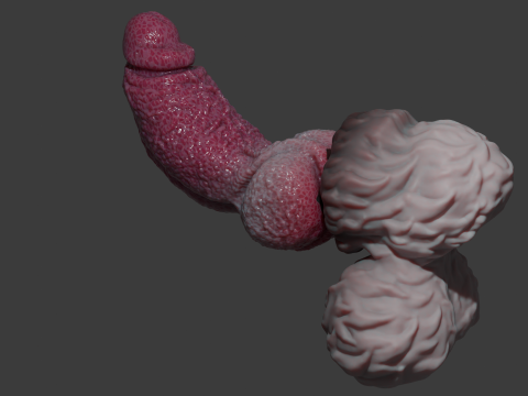 Lucan Werewolf Penis Sextoy Rigged Modèle 3D