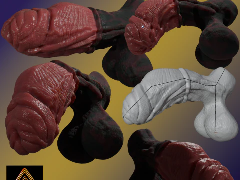 Celladon Dragon Penis Peludo Sextoy Rigged Modelo 3D