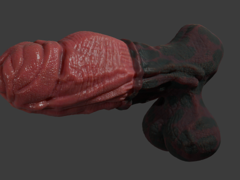 Celladon Dragon Penis Furry Sextoy Rigged 3D 模型