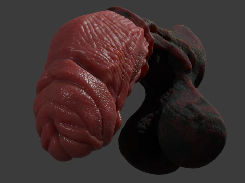 Celladon Dragon Penis Furry Sextoy Rigged 3D Model