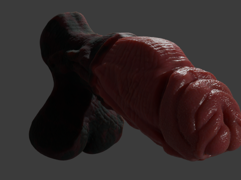 Celladon Dragon Penis Furry Sextoy Rigged 3D 模型