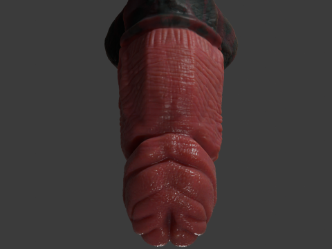 Celladon Dragon Penis Furry Sextoy Rigged 3D 模型