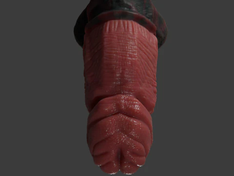 Celladon Dragon Penis Furry Sextoy Rigged 3D Model