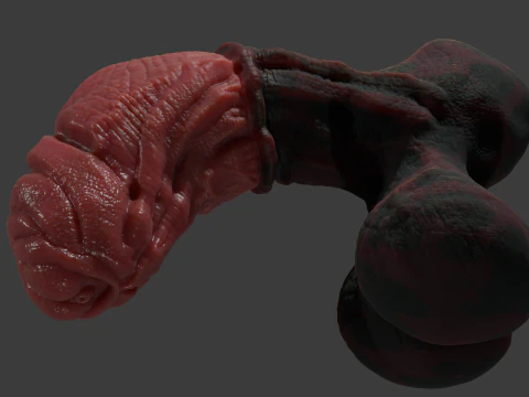 Celladon Dragon Penis Furry Sextoy Rigged 3D Model
