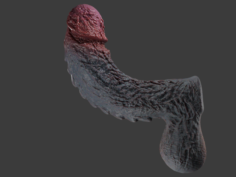 Lorkaz 肉质怪物阴茎毛茸茸的性玩具 Rigged 3D 模型