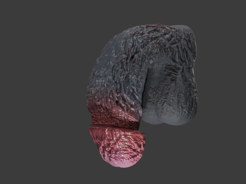Lorkaz 肉质怪物阴茎毛茸茸的性玩具 Rigged 3D 模型