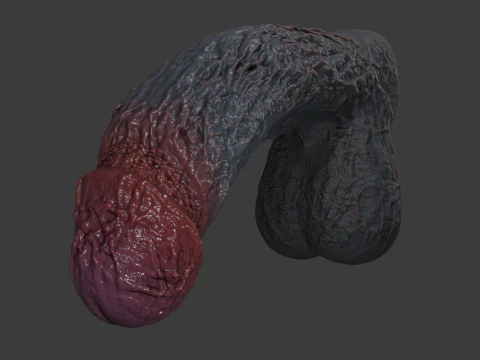 Lorkaz Fleshy Monster Penis Furry Sextoy Rigged 3D Model