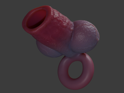 Dog Penis Sheath Lowpoly and Highpoly 3D Model