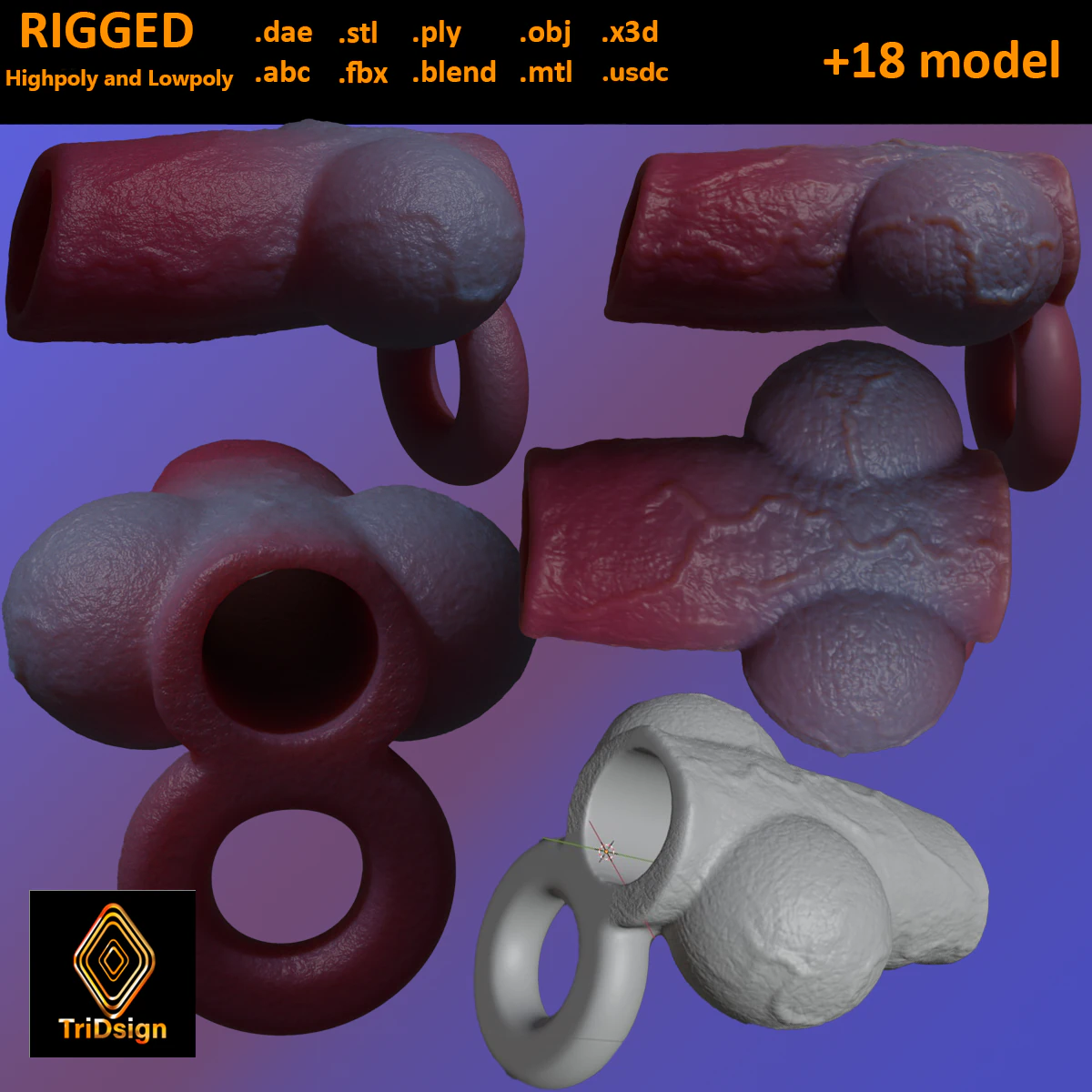 Dog Penis Sheath Lowpoly and Highpoly 3D Model .c4d .max .obj .3ds .fbx .stl .blend 
