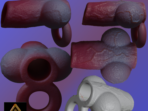 Dog Penis Sheath Lowpoly and Highpoly 3D Model