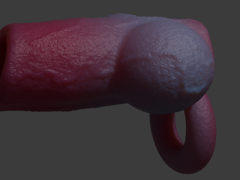Dog Penis Sheath Lowpoly and Highpoly 3D Model