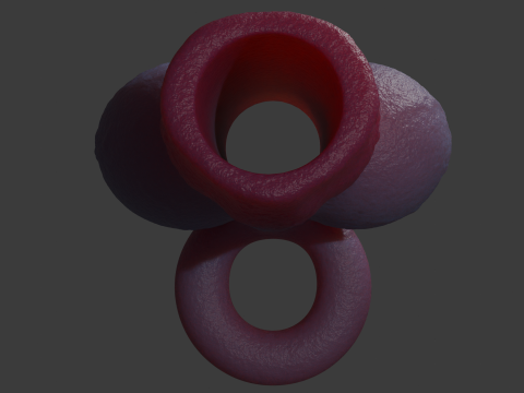 Dog Penis Sheath Lowpoly and Highpoly 3D Model