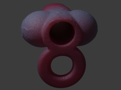 Dog Penis Sheath Lowpoly and Highpoly 3D Model