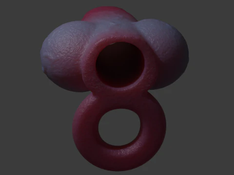 Dog Penis Sheath Lowpoly and Highpoly 3D Model
