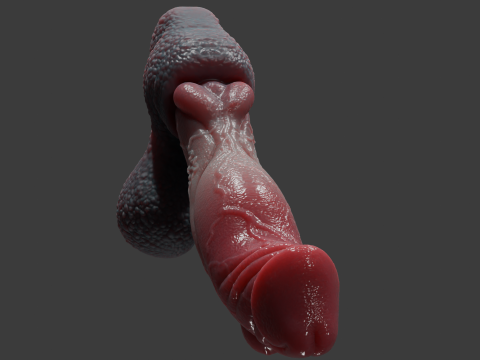 Fantasy Karnag Dragon Penis Rigged 3D Model